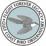 Flight Forever Legacy logo2