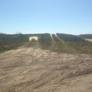 tire tracks over the dunes (2)