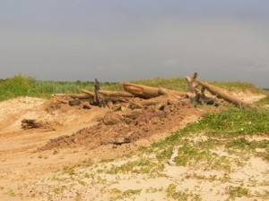 blocking dunes