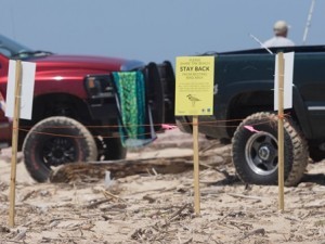 trucks on beach