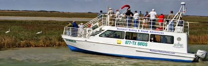 whooping crane boat tours birding