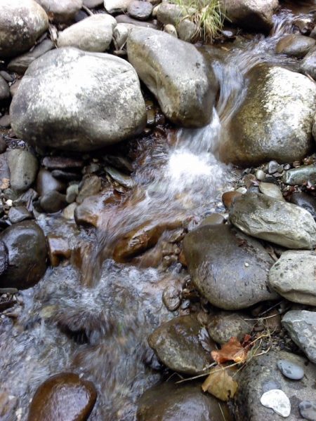 water rushing over rocks in a stream