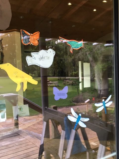 cutouts of birds and other animals taped to a window