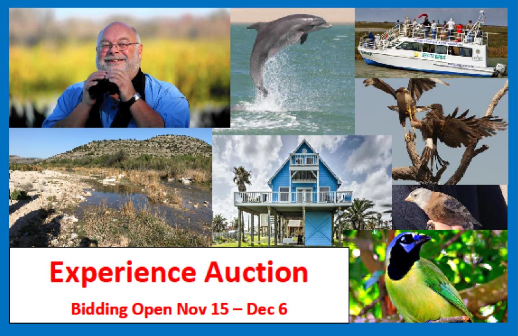 Xtreme Hummingbird Xtravaganza announcement