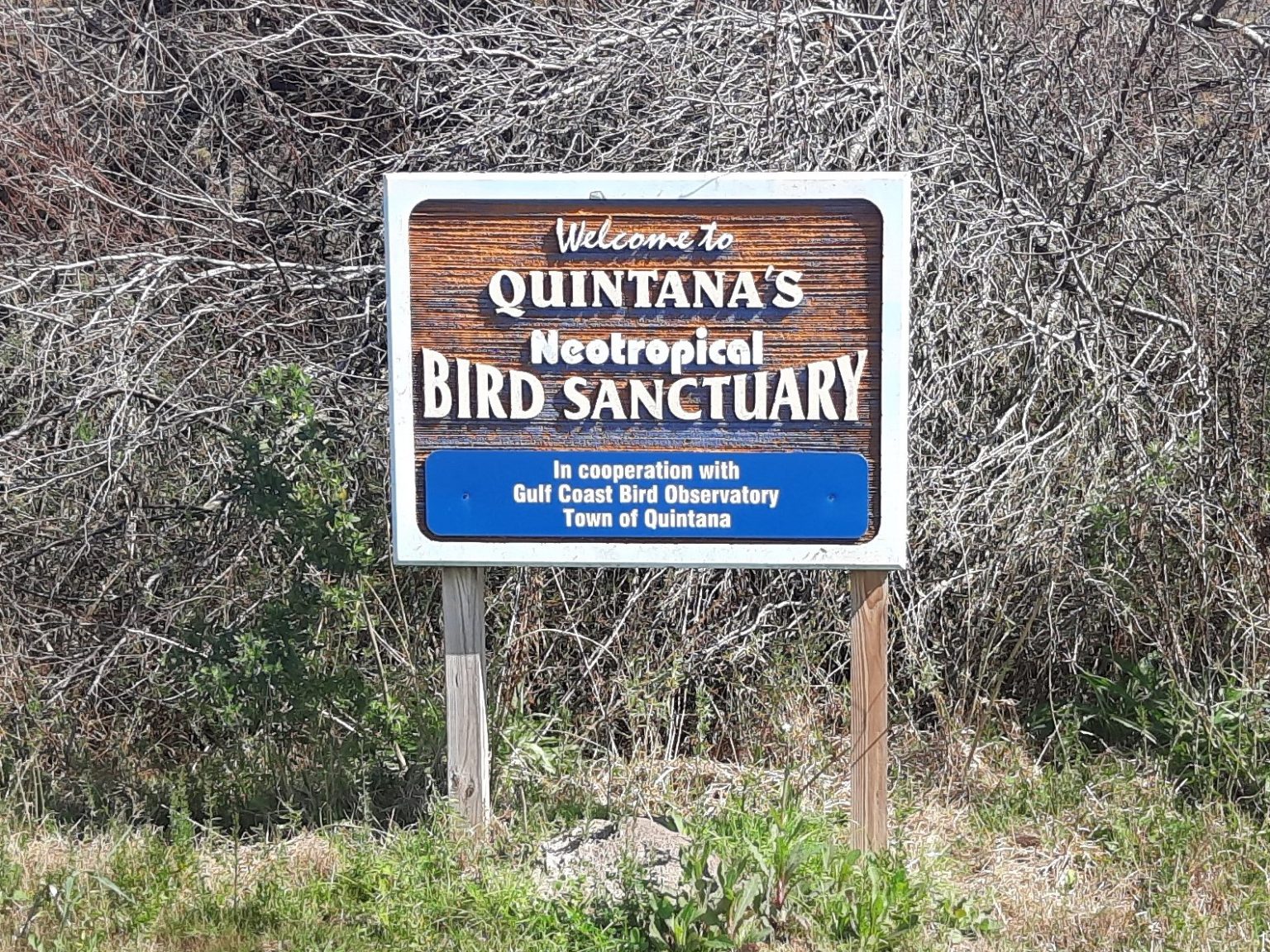 Quintana Neotropical Bird Sanctuary | Gulf Coast Bird Observatory