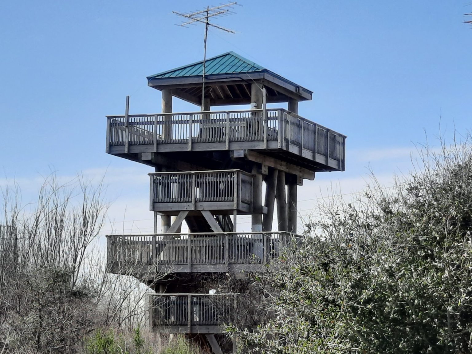 Quintana Neotropical Bird Sanctuary | Gulf Coast Bird Observatory
